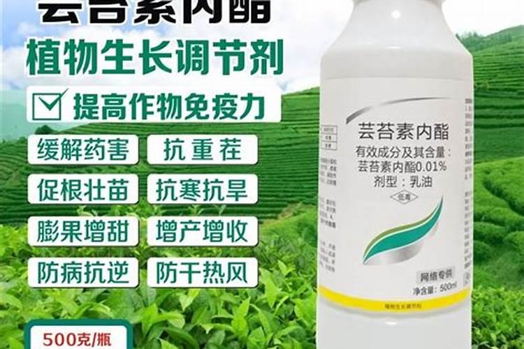 露地西瓜施肥的方法