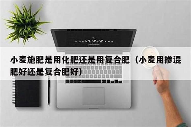 种小麦底肥哪种最好