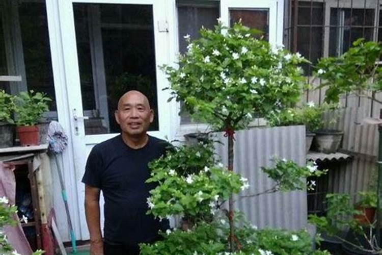 水稻苗床补肥喷施大量元素水溶肥可以吗？