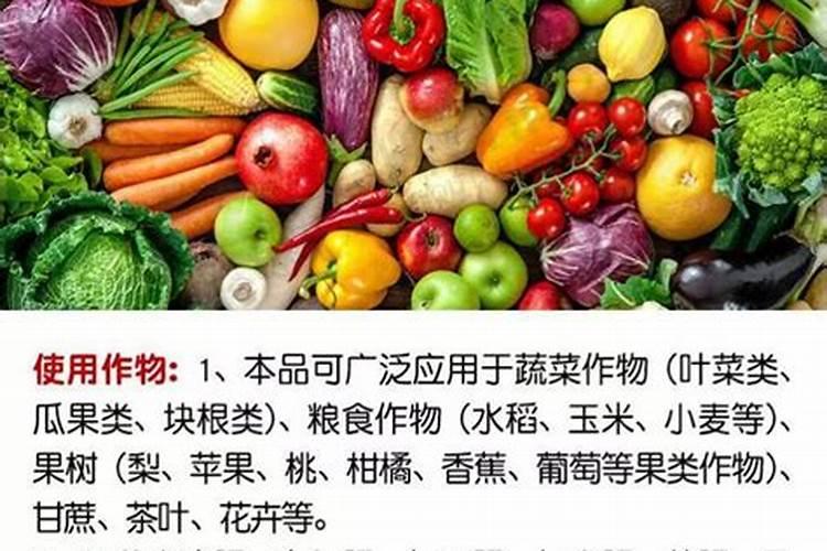 种白菜如何施肥