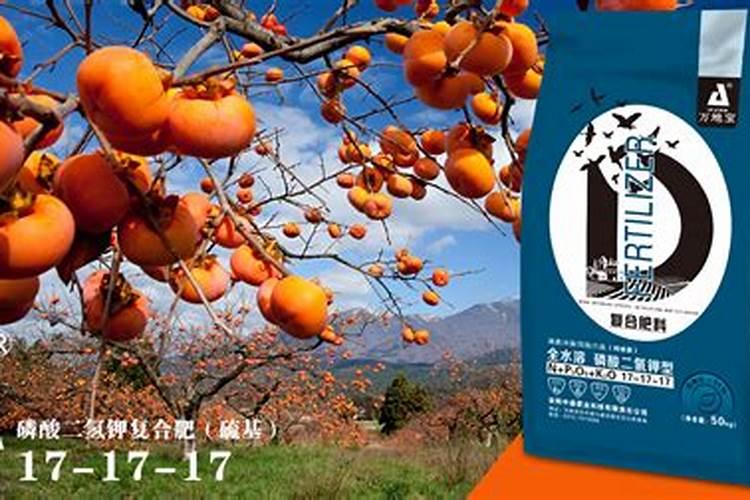 柿子树用什么肥料最好