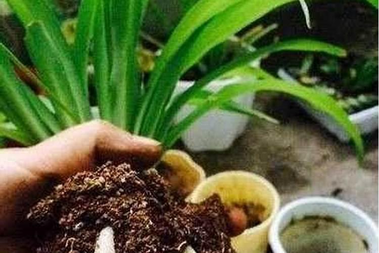 一般的蔬菜瓜果要用到什么肥料