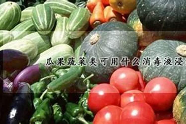 瓜果蔬菜用什么肥料好