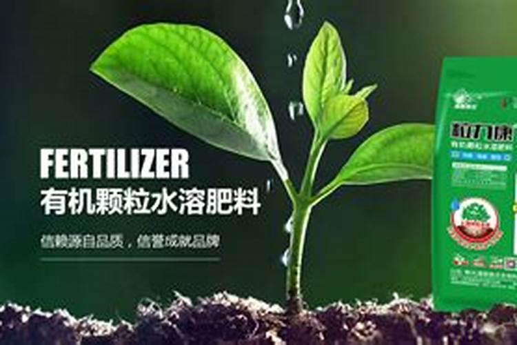 复合肥加水可以当液肥吗