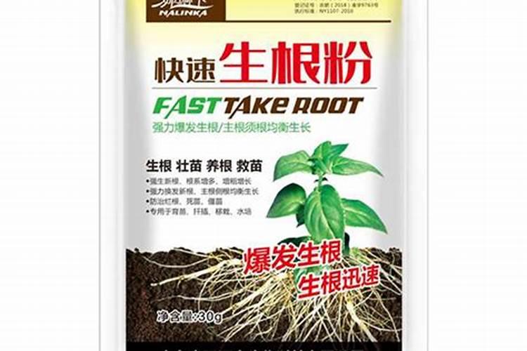 肥害的症状及解救方法