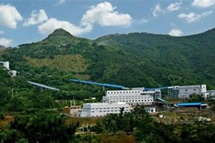 怎么给苗木追肥？夏季苗木的养护方法和注意事项