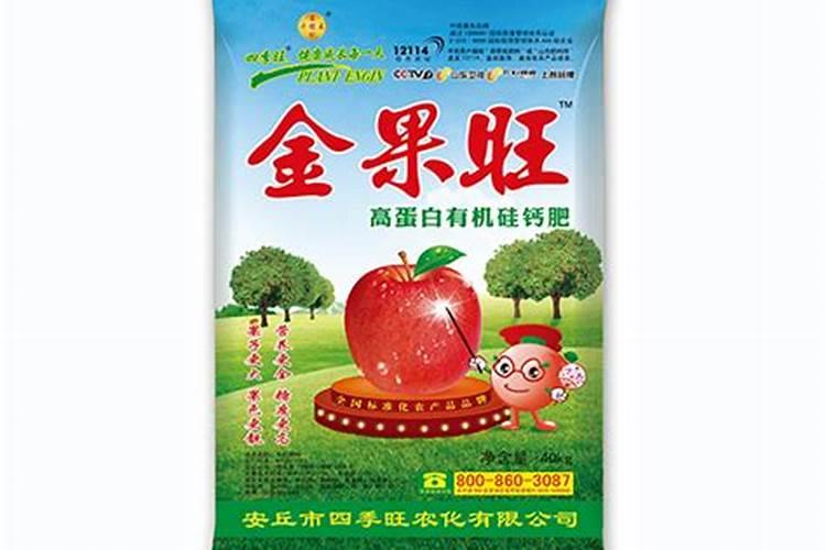 四季果如何种植