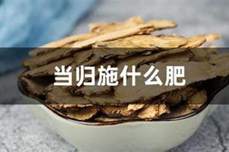当归种植需要什么肥