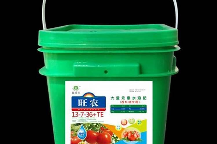 西红柿结果期水肥如何管理