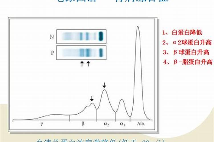 鱼胶原蛋白怎么做的