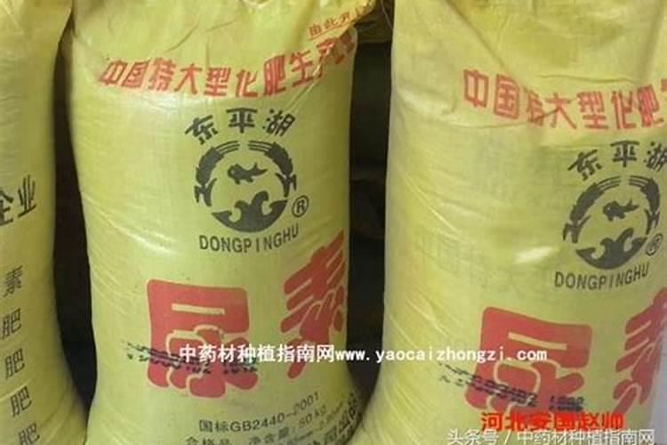 草莓根腐病最有效的治疗方法