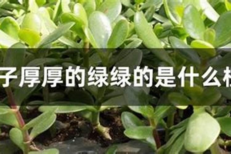 郴州市认得民农资有限公司怎么样？