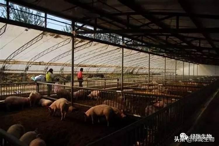 氮肥养花一克用多少水兑