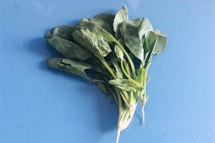 利用树叶做钾肥好,还是腐烂以后做有机肥好？