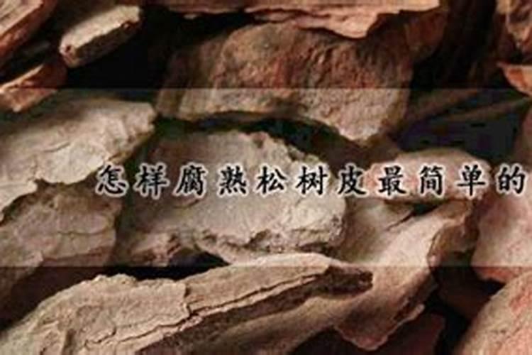 树皮发酵最简单的方法,详解松树皮与柳树皮发酵方法