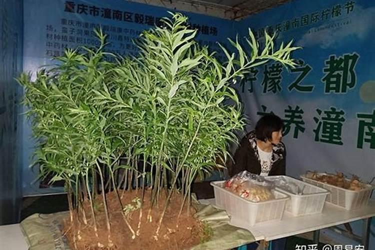 西安鑫谷玉米制品有限公司怎么样？