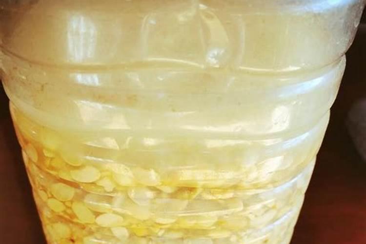 大豆(黄豆)什么时间施肥最好