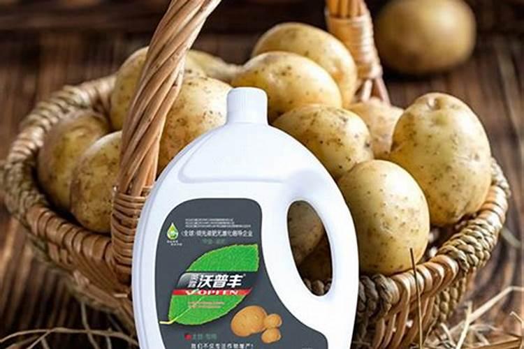 麦黄金叶面肥功效与作用