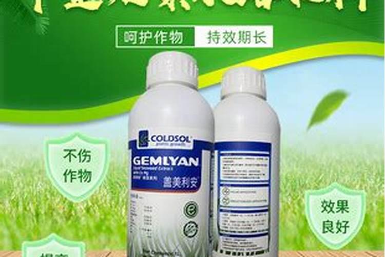 人工种植甜菜,怎么管理可获得丰产稳产？