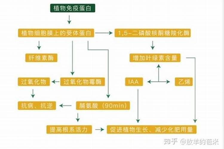 叶面肥与农药的混用顺序要注意哪些
