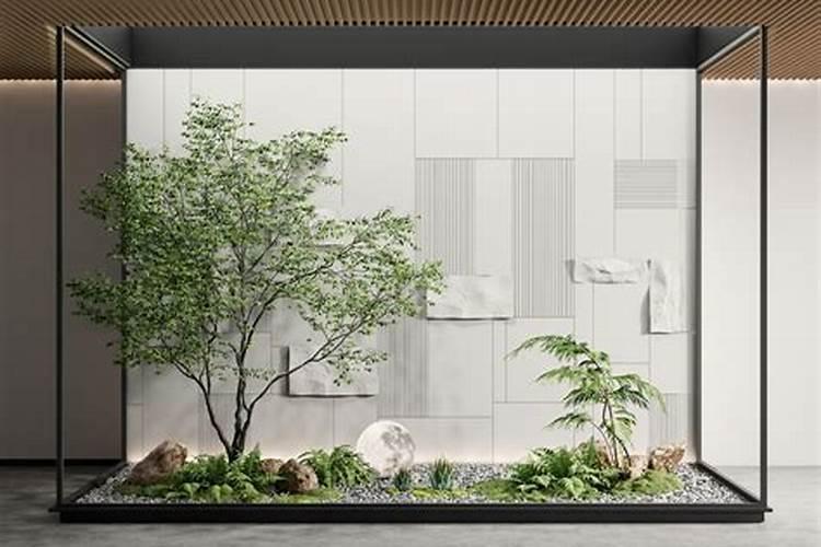 发财树为什么叶子出大黄斑？