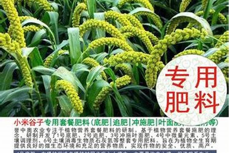 什么是三元复合肥