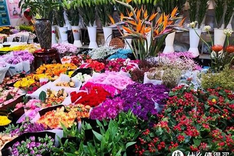 什么花肥所有植物通用  什么肥料适合所有的花卉盆景