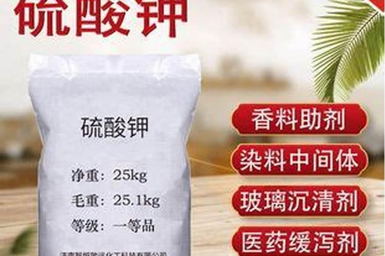什么是海松茸？