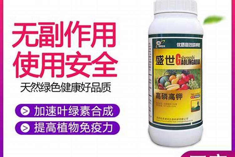 芸苔素内脂能灌根吗？