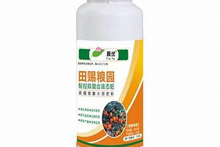 玉树养护需要注意什么叶片肥又绿
