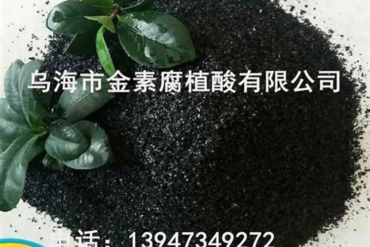 有机氮肥有哪些