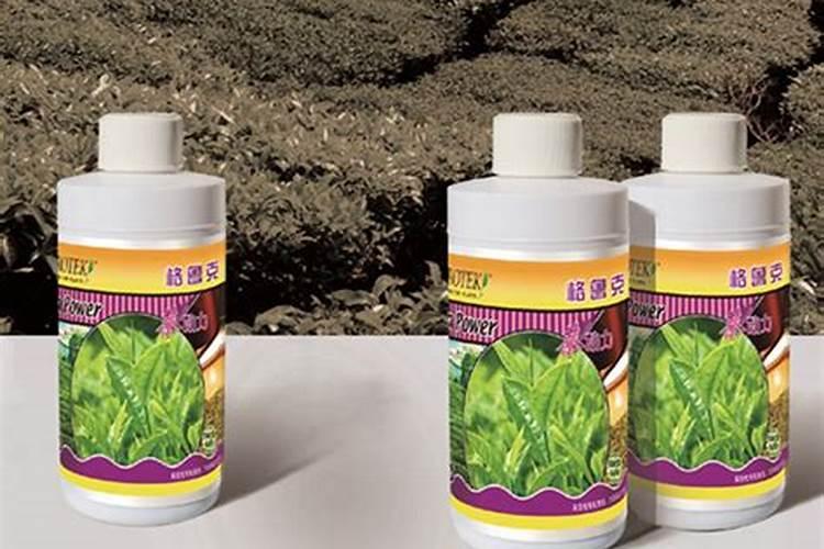 茶叶专用有机肥料
