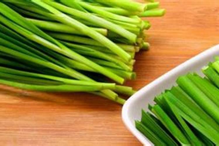 无花果树移栽多久发芽 无花果树移栽后多长时间发芽