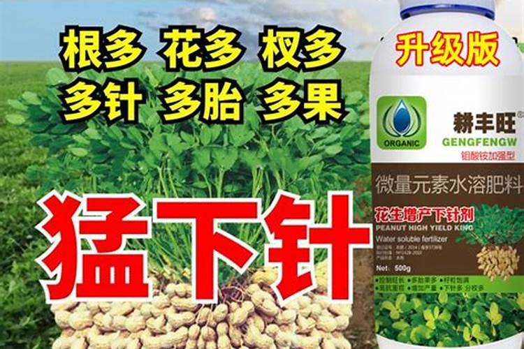 花生不同生长阶段的叶面肥使用技巧 花生应该怎么施肥