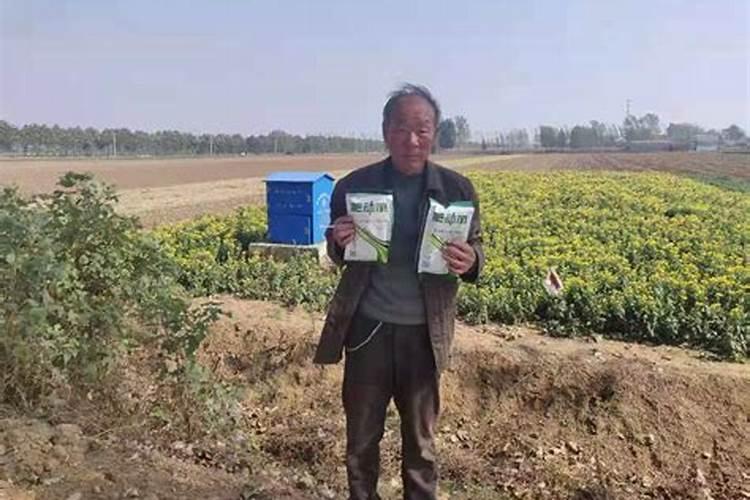 河南化肥企业排名十强