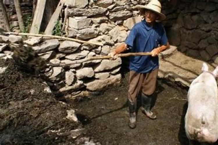4月份种丝瓜,用什么肥,才能长得又多又好吃？