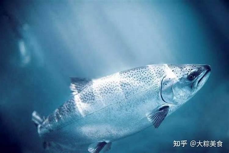 黄瓜下雨后需要浇水吗 黄瓜浇水注意事项