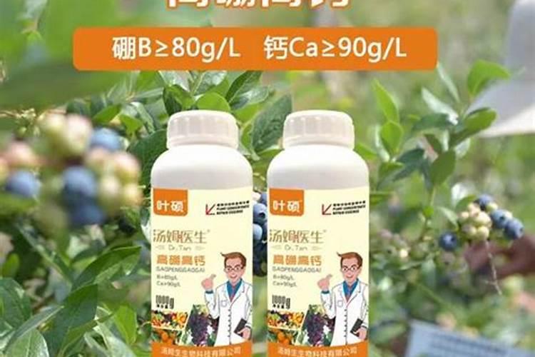 蔬菜常用的叶面肥有哪些种类？
