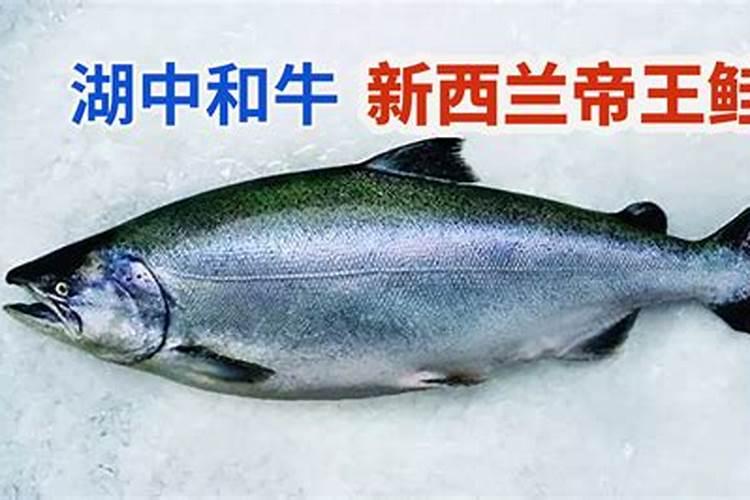 鲑鱼的营养成分和功效