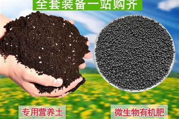 养花用这几种肥料最好