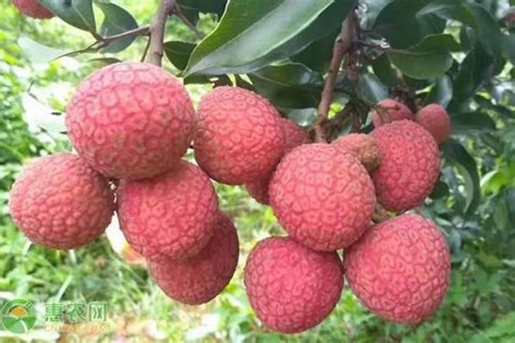 磷化氢沸点比硫化氢沸点低的原因？