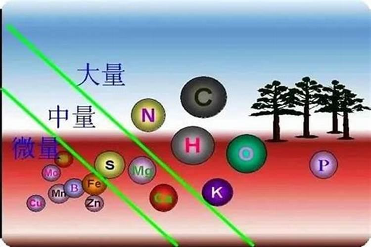 果树补钙用什么钙肥好 什么时候使用效果好