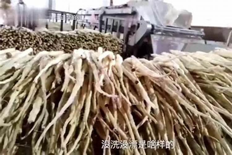 山药追肥用什么肥料好