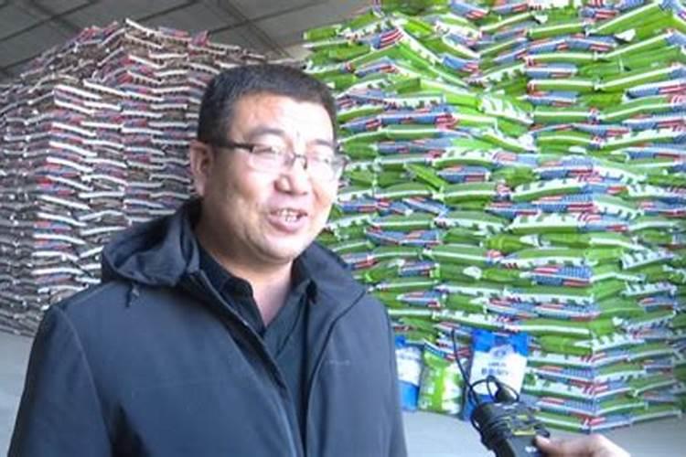 角堇的养殖方法及注意事项