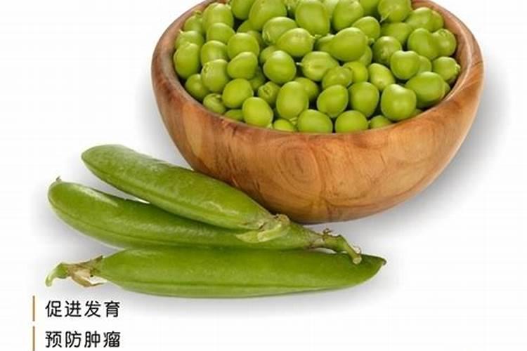 豌豆苗的种植方法和时间