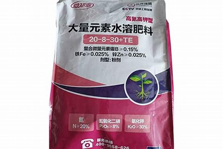 冬天的时候能不能给大蒜浇水呢？为什么？