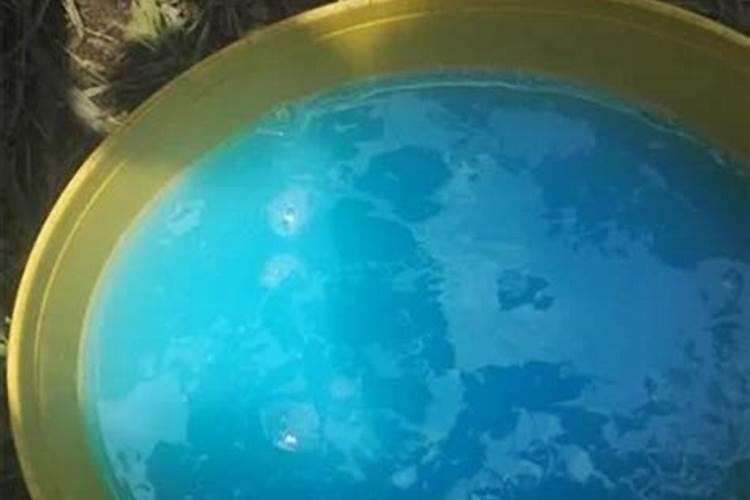 月季花水扦插法怎么用生根粉？
