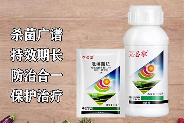 栀子花和铜钱草能一起养吗