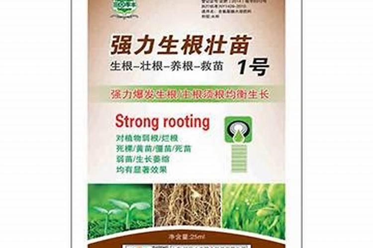 叶面肥是个好东西,怎样使用效果最好？