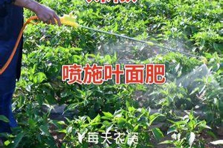 山西适合种植月见草吗？